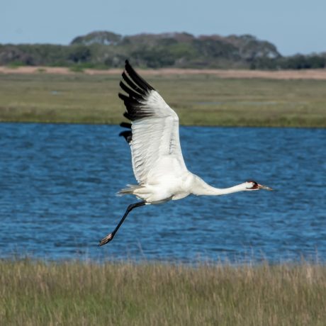 Connie Hagar Wildlife Refuge